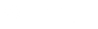 InstaForex