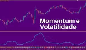 Momentum e Volatilidade