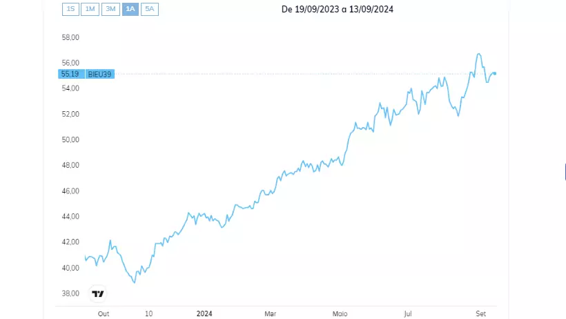 MSCI Europe Investable Market (BIEU39) - Euronext